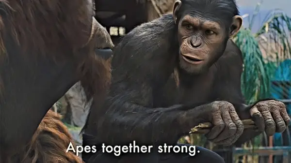 Apes are stronger together