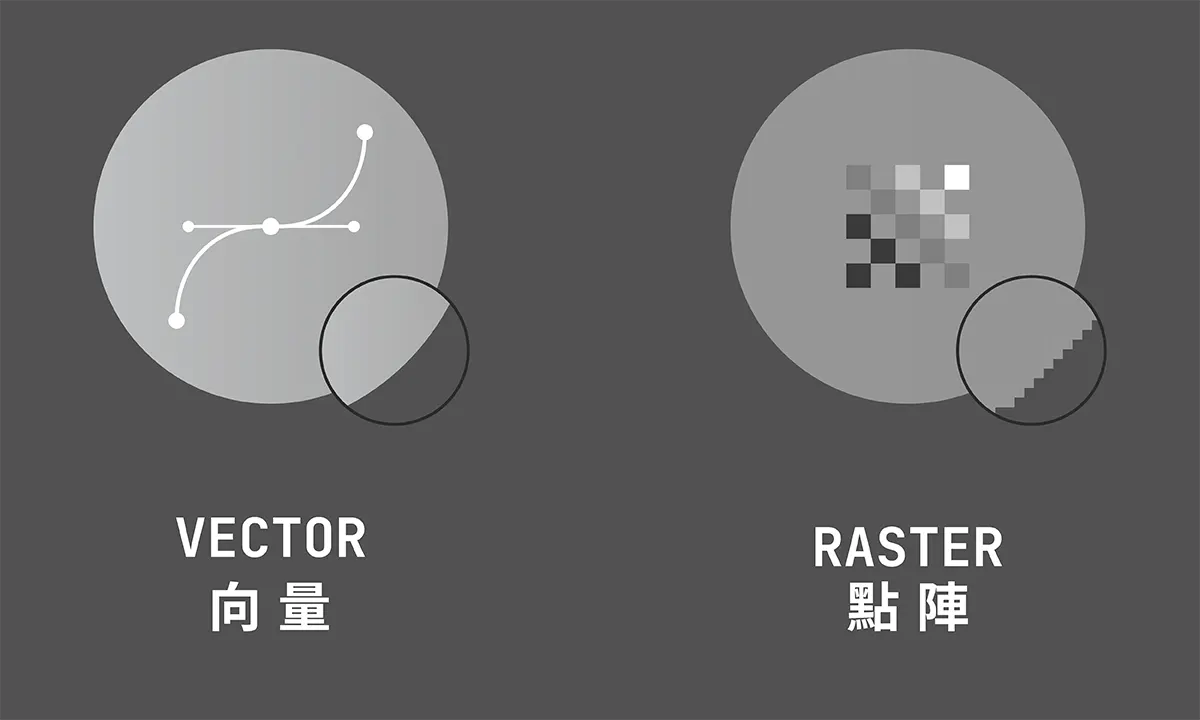 Comparison of Vector and Raster
